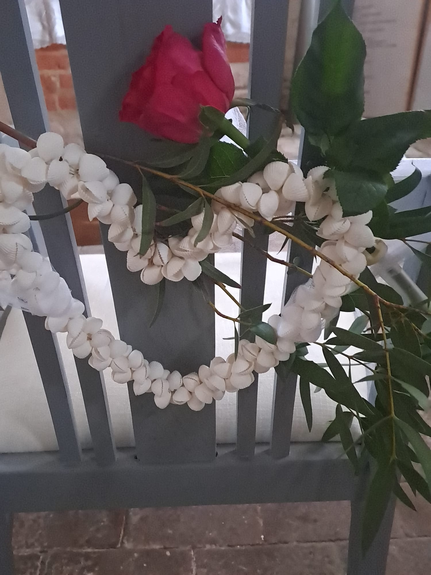 PHOTO 2026 02 15 17 35 226